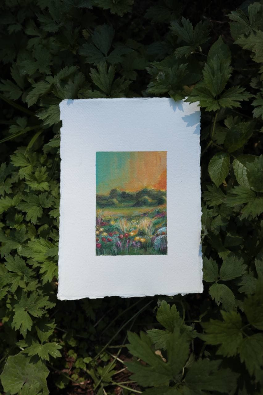 Summer fields